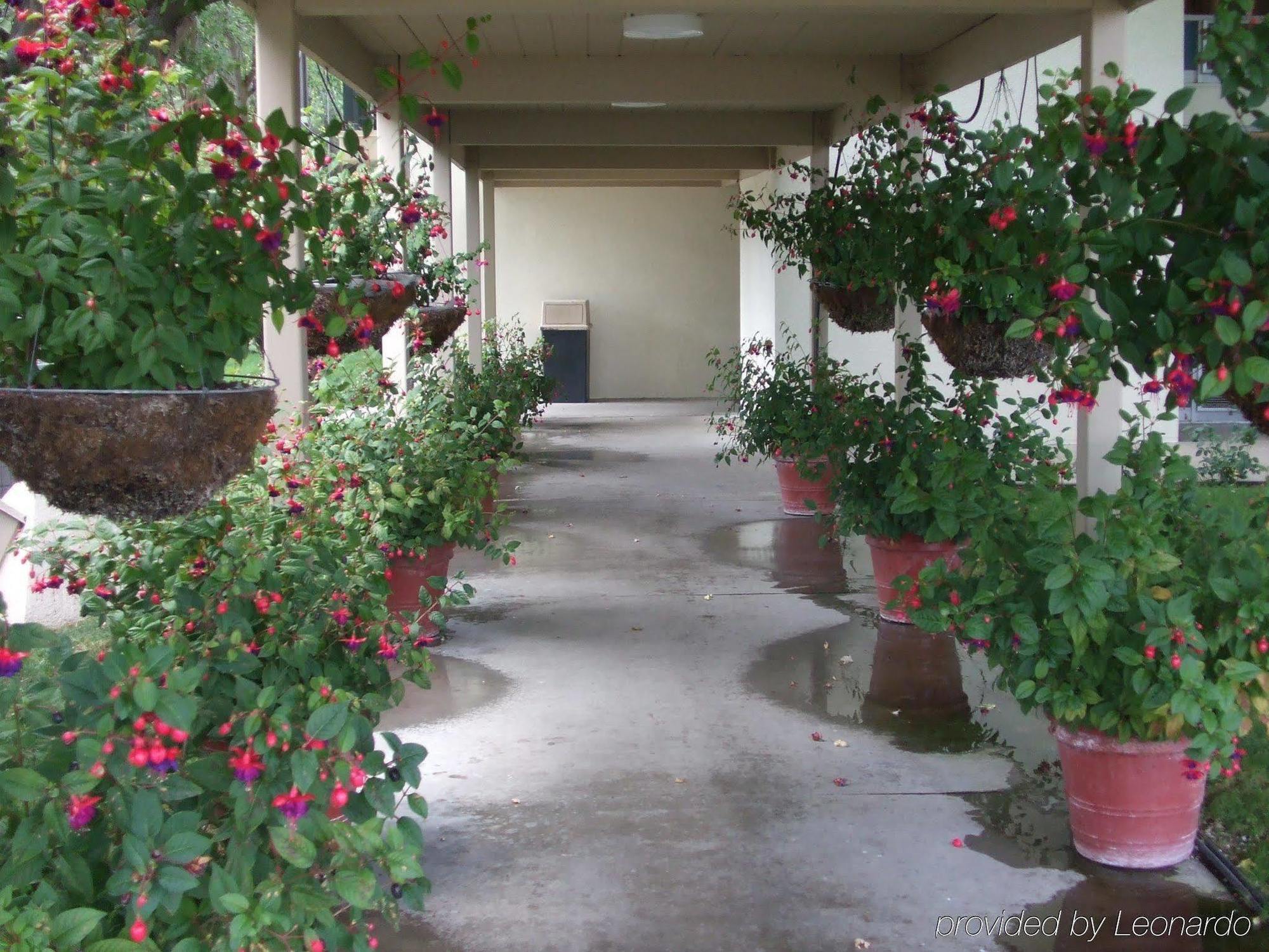 Hotel Calle Joaquin - San Luis Obispo Eksteriør billede